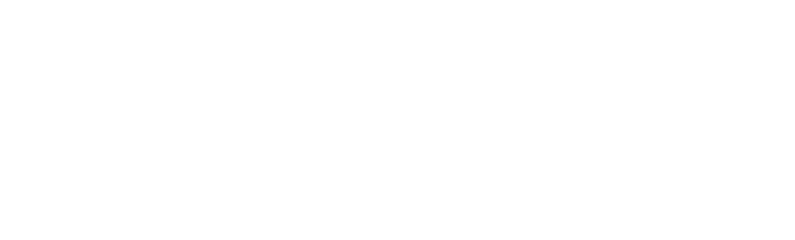Steam®